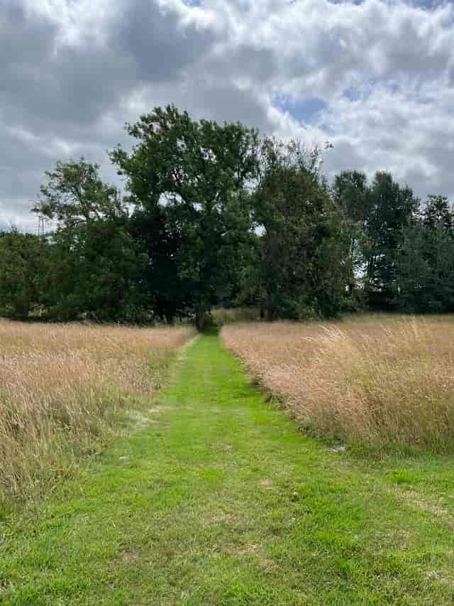 Serene pathway through tall grass at Church Farm Estate, ideal for outdoor events and retreats.