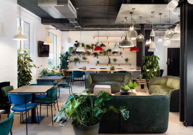 Modern Meeting Room 4 with flexible seating and greenery for events at Uncommon Highbury.