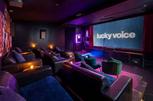 The Cinema / Karaoke Suite