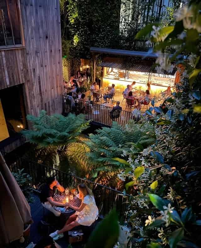 The Mandrake Terrace