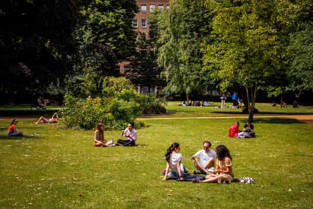 Gordon Square park, London, team building, networking