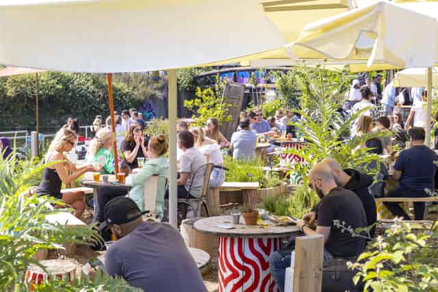 The Garden & Allotments