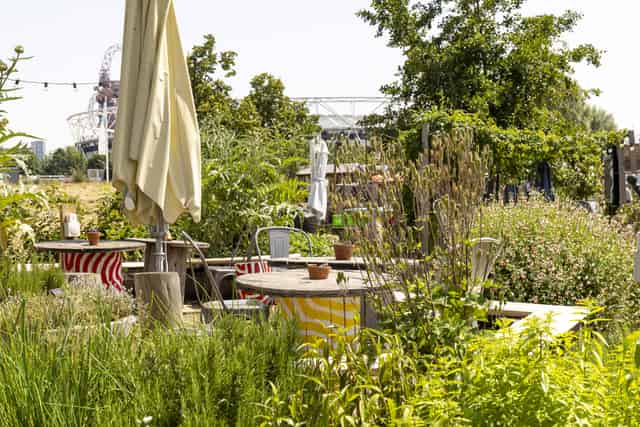 The Garden & Allotments