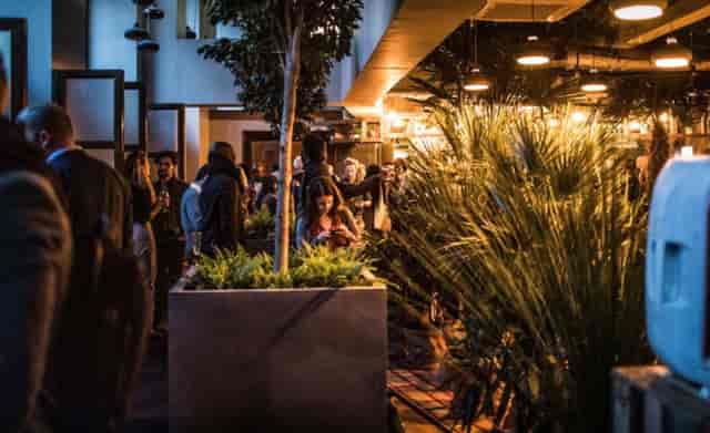 Vibrant networking event in Main Lounge, Arboretum London with lush greenery.