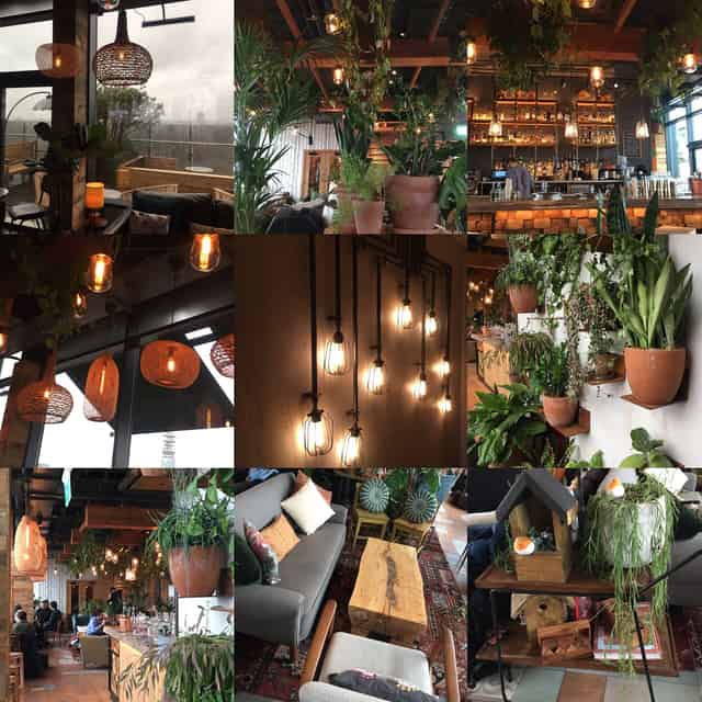 The Nest