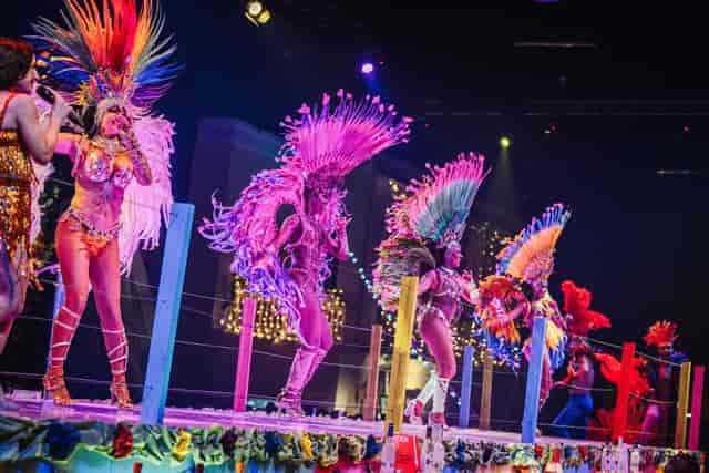 Carnival Christmas Party London - Vibrant Performance