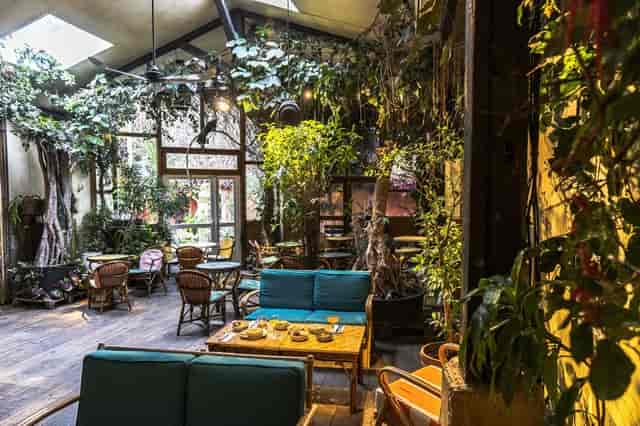 Aquarium Room at Comptoir General: lush greenery for intimate meetings and events.