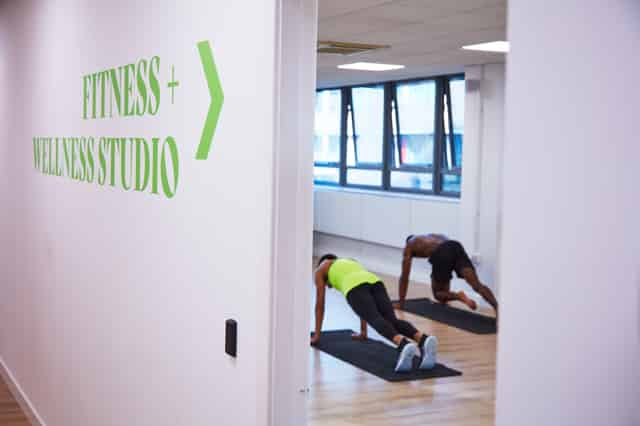 Wellness and Fitness Studio