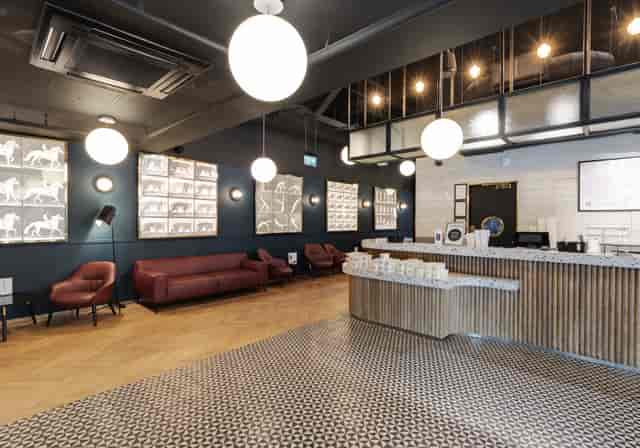 Curzon Kingston