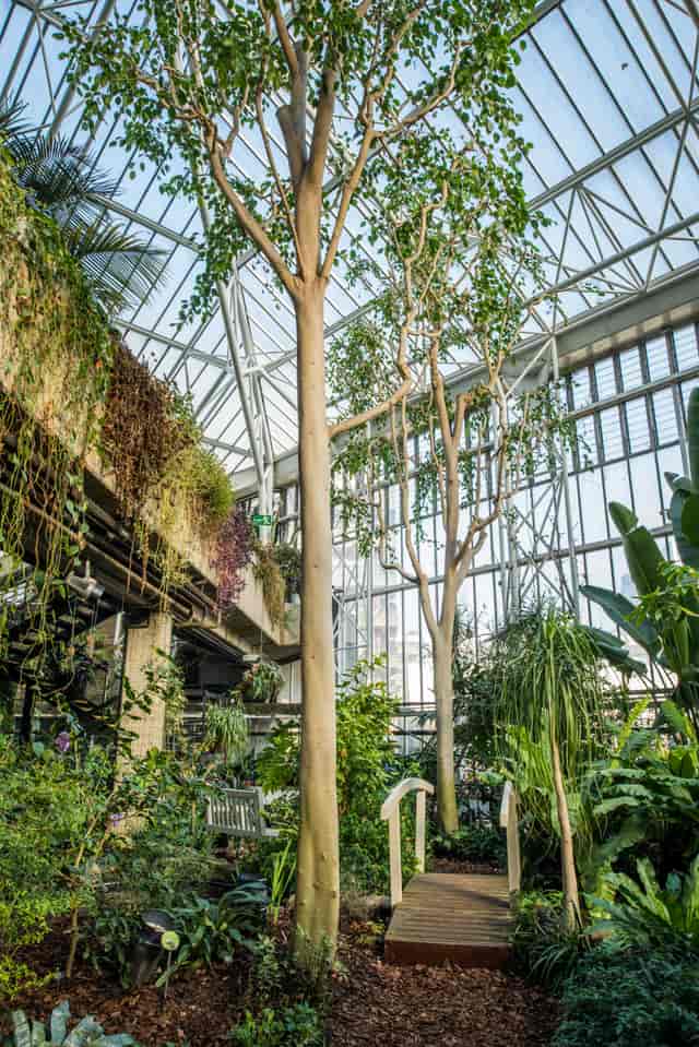 Barbican Conservatory wedding, corporate event venue