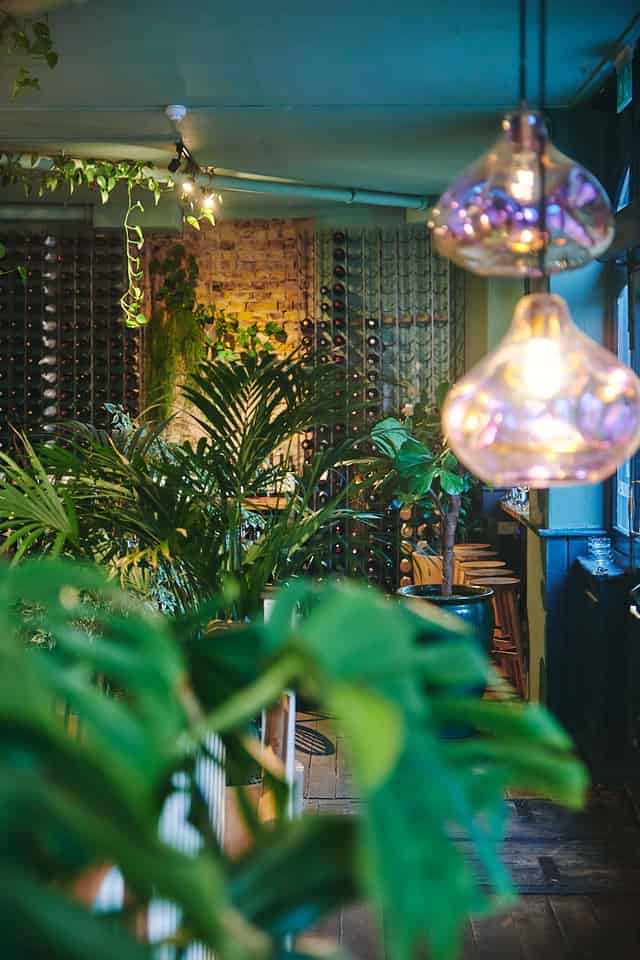 Full Venue Hire