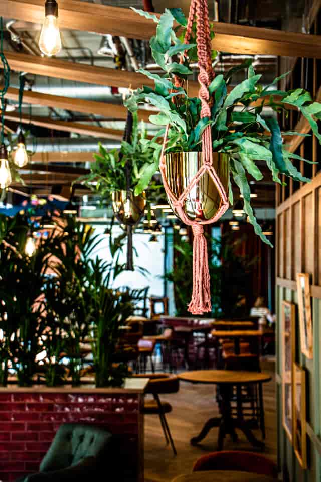 Vibrant Outpost Entire Venue with lush greenery, perfect for events and gatherings.