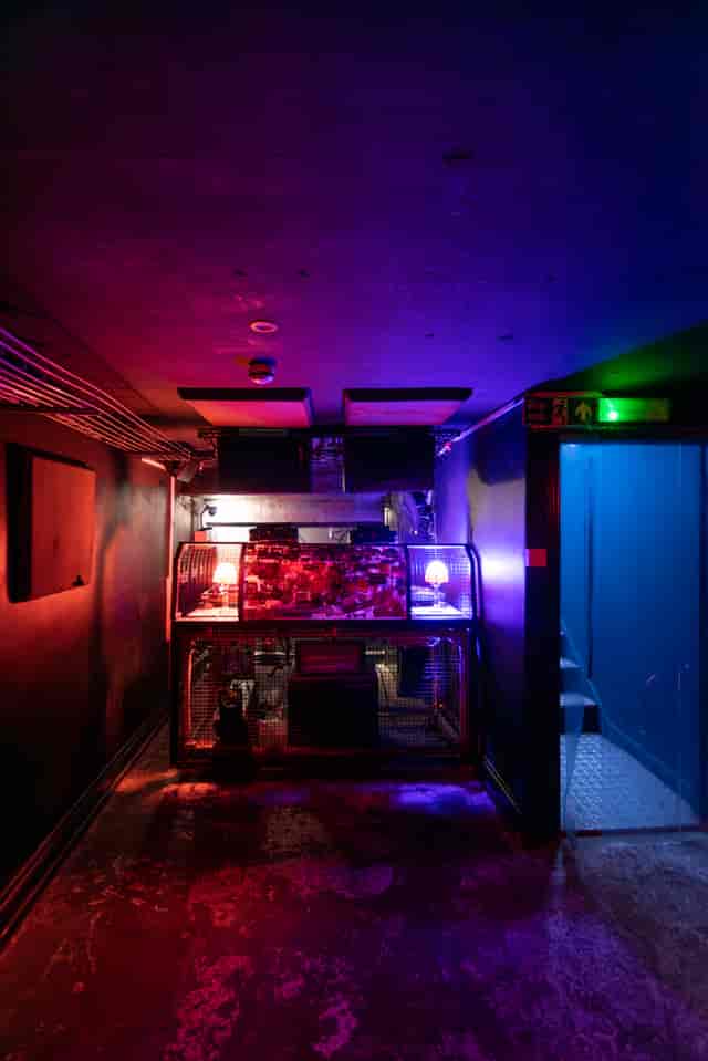 Vibrant event space with unique lighting for intimate gatherings and creative events.