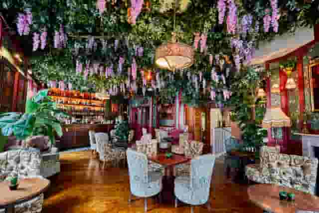 Mr Fogg's Botanical Tavern