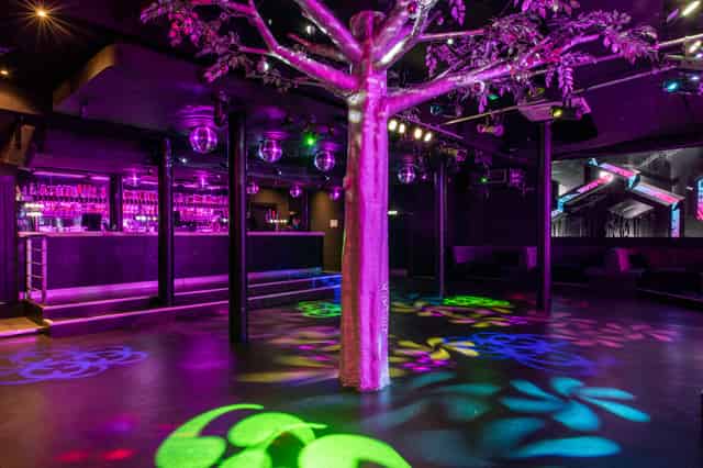 Main Floor