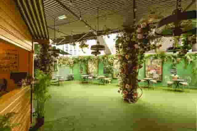Mr Fogg's Secret Garden