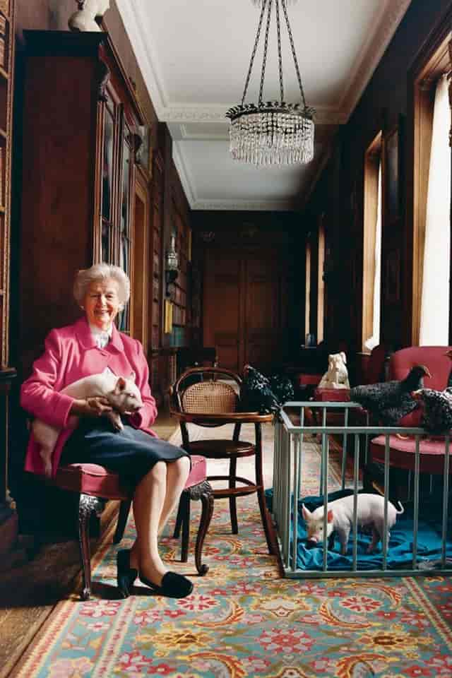 Charming vintage venue for creative meetings with pets and chickens, ideal for workshops.