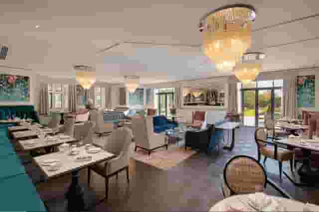 Orchid - Tea Salon