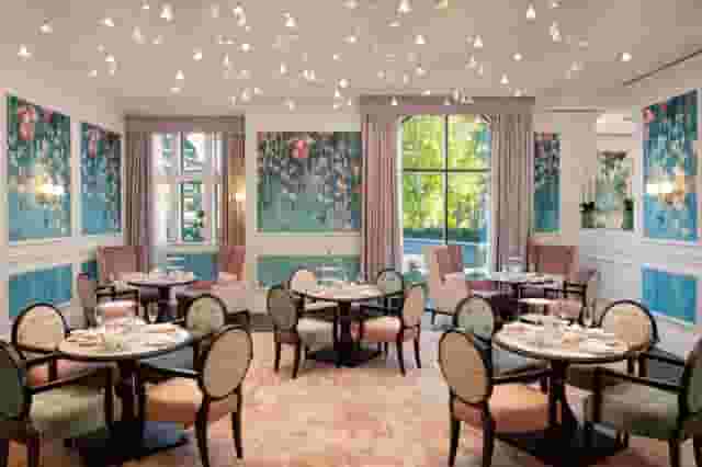 Orchid - Tea Salon