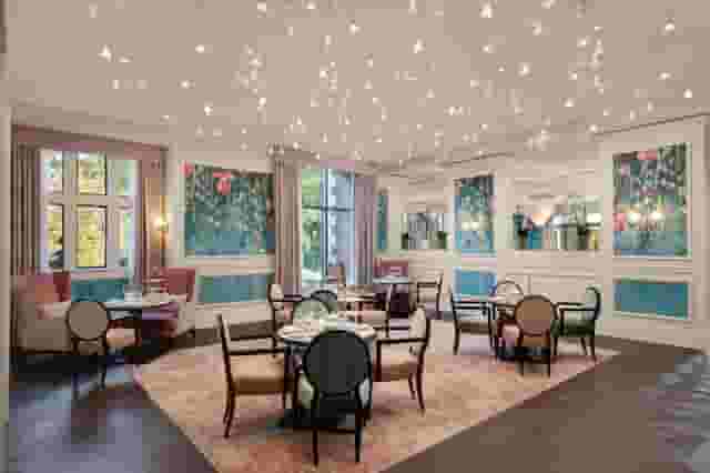 Orchid - Tea Salon