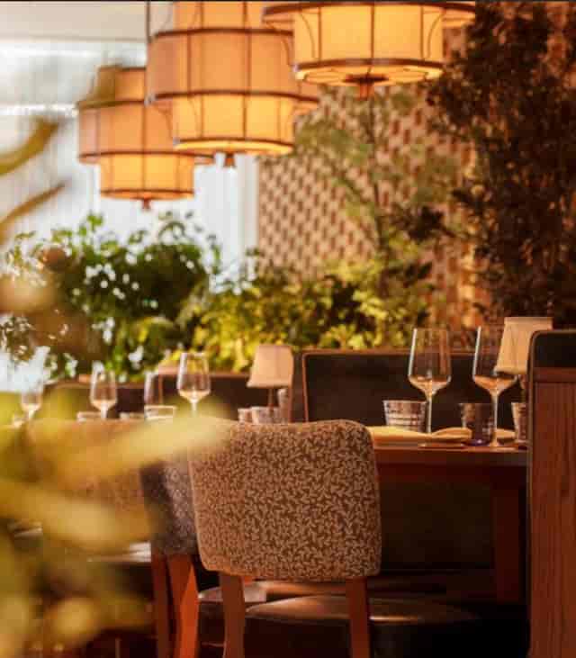 Enchanting Spaces
