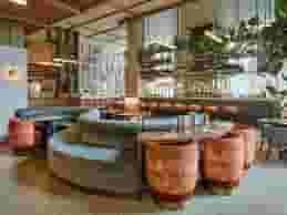 TRIBE Hotels