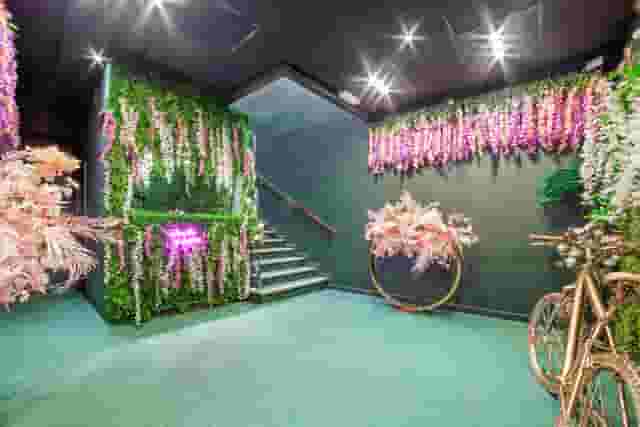 Eden Experience