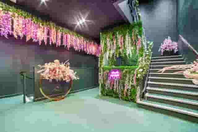 Eden Experience