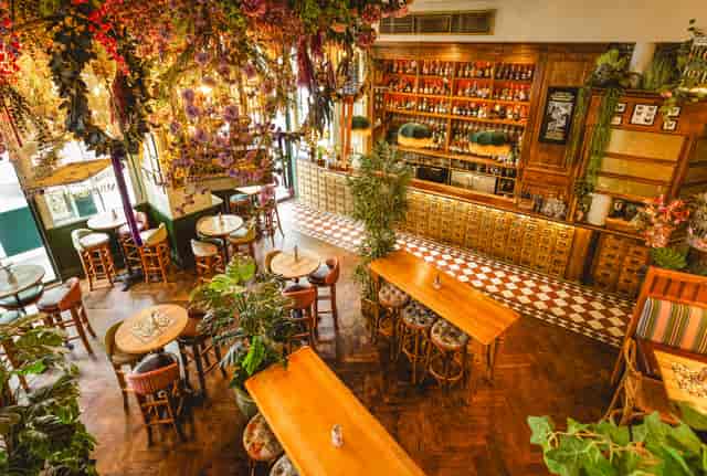 Mr Fogg's Botanical Tavern 