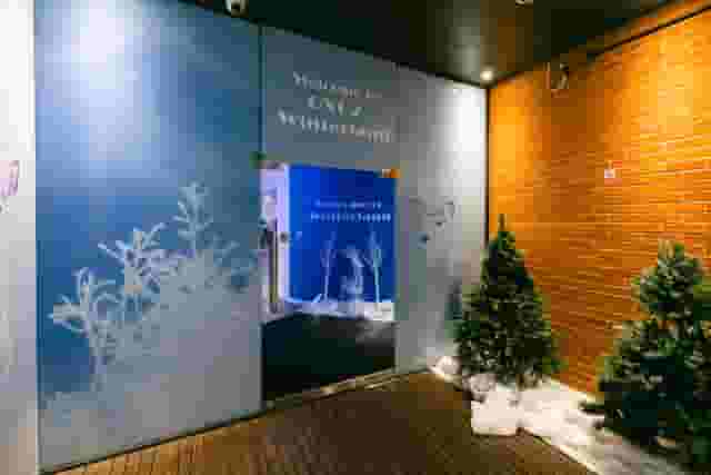 Winterland Christmas