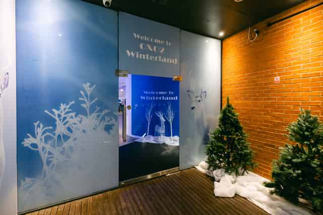 Winterland Christmas