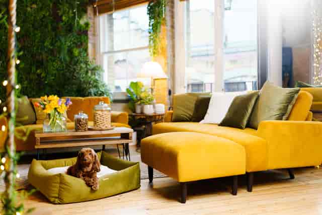 Cozy Shoreditch Treehouse lounge with vibrant yellow decor, ideal for networking events.