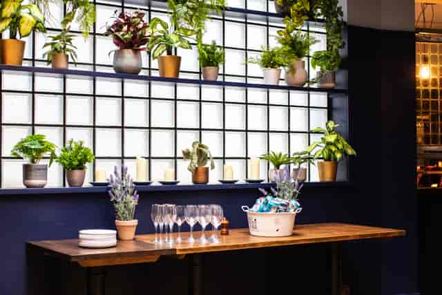 Elegant event space at The Snug, featuring a wooden table and lush greenery for gatherings.