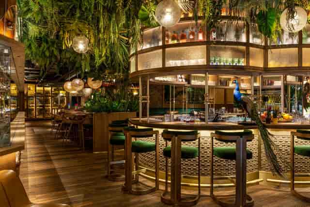 Vibrant Amazónico London restaurant with lush greenery, ideal for unique events.