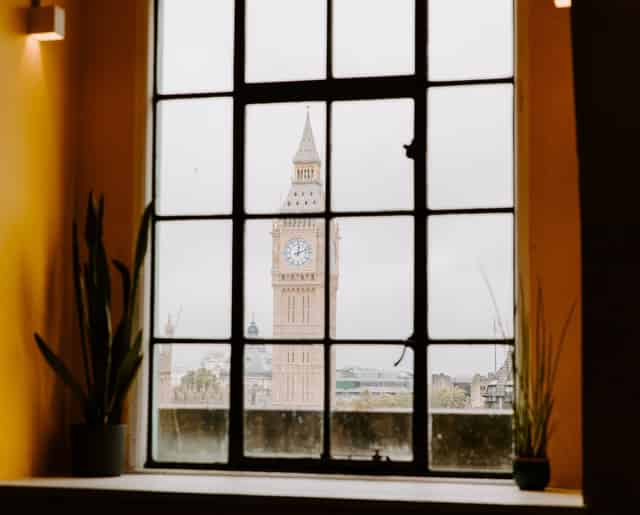 The View