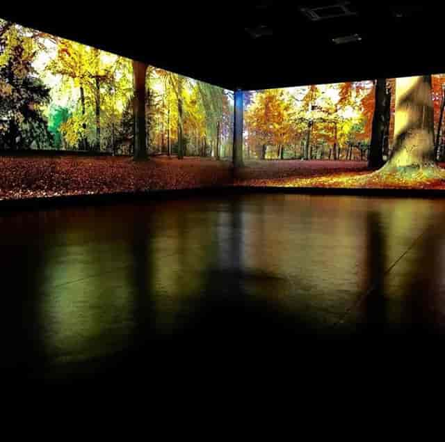 Immersive Studios event space with autumn forest projections for corporate and creative events.