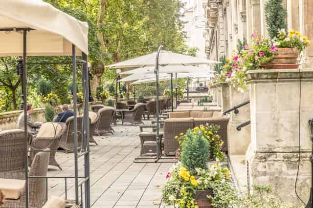 The Terrace