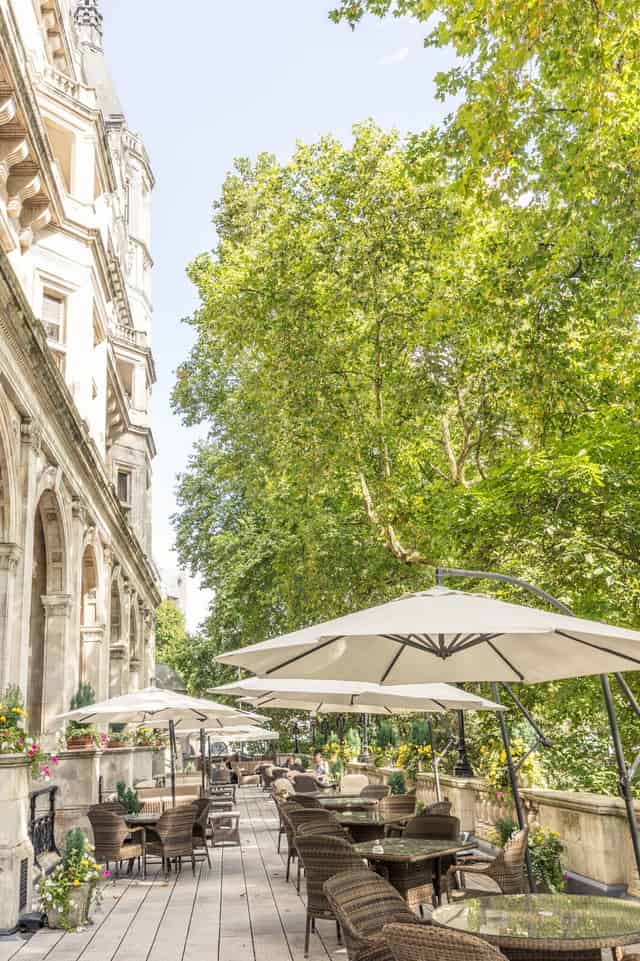 The Terrace