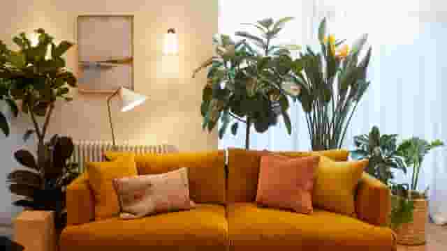 The Lounge