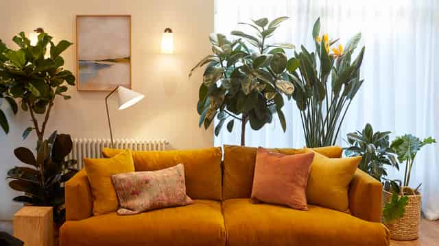 The Lounge