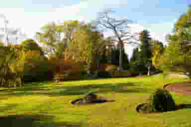 Haringey
