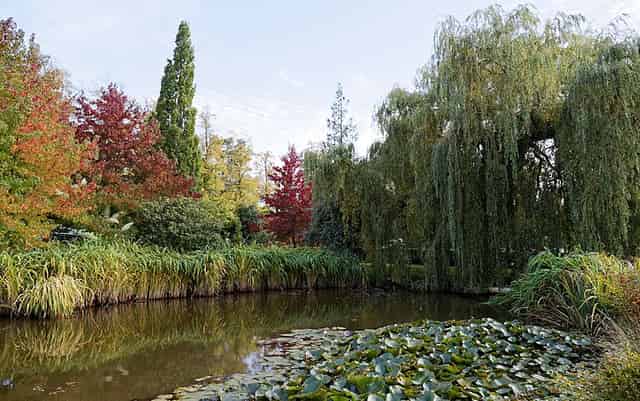 Arboretum