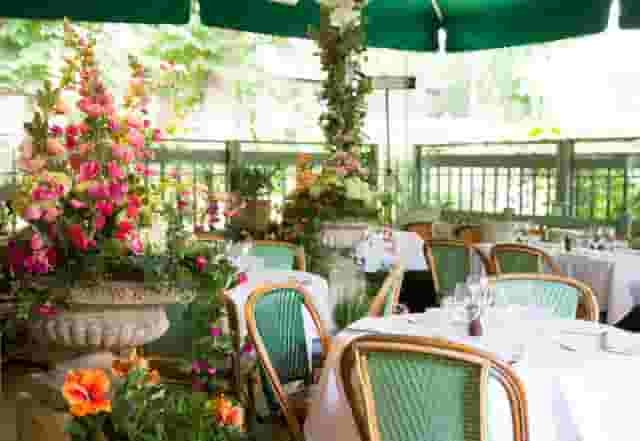 The Ivy In The Park