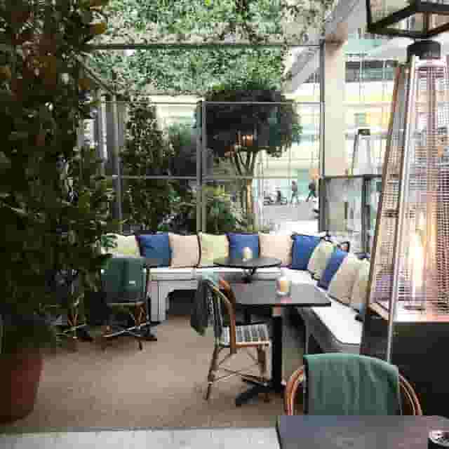 The Ivy In The Park
