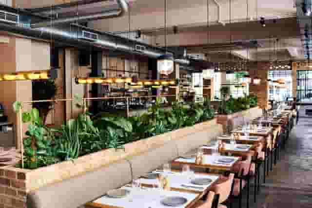Semi-Private Dining Area