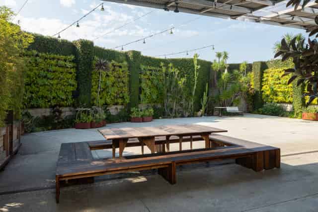 Garden Courtyard