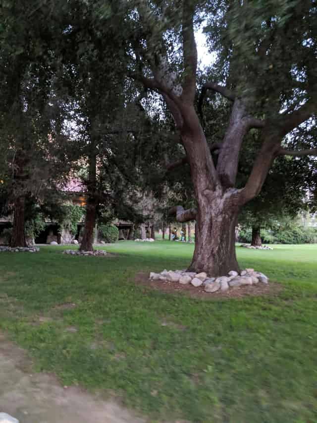 Anoush Catering at Middle Ranch