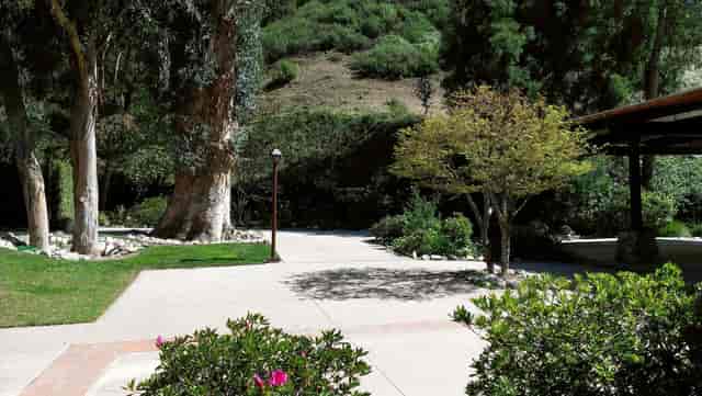 Brandview Garden venue with lush greenery, perfect for corporate retreats and events.