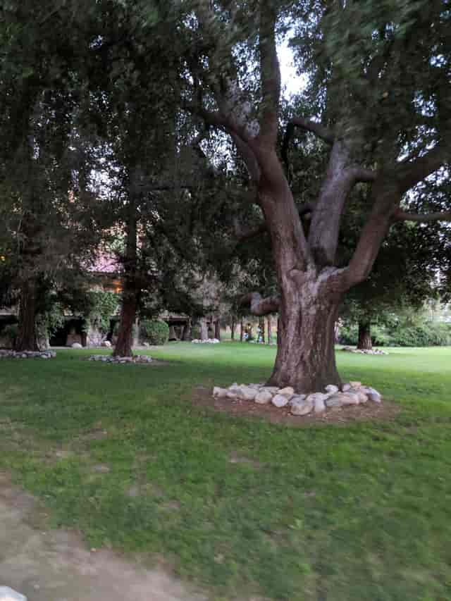 Brandview Garden venue with lush greenery, ideal for events and gatherings.