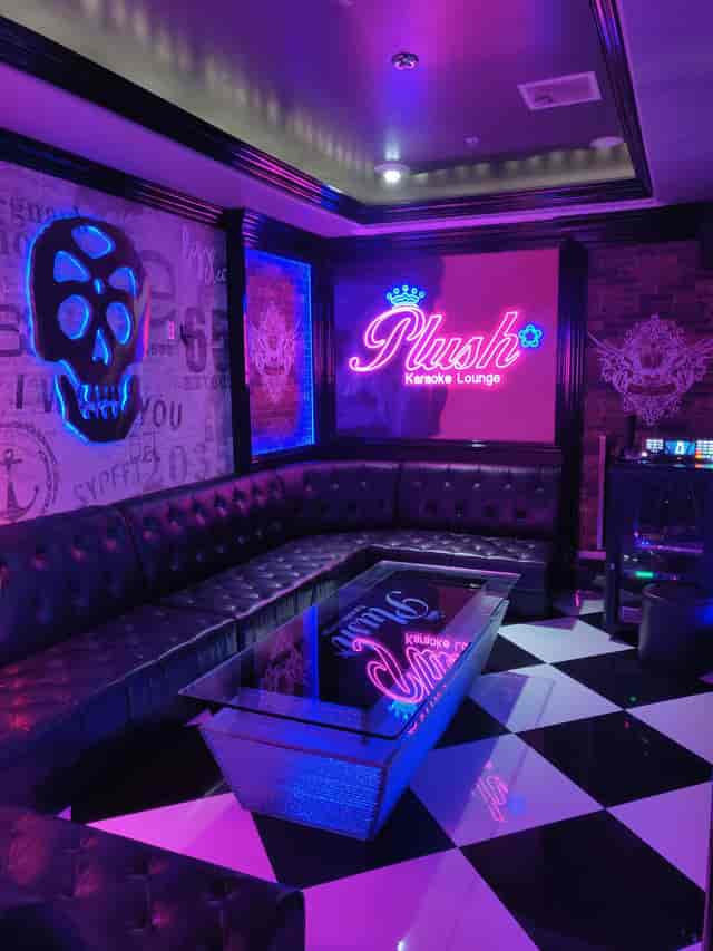Vibrant karaoke lounge with plush seating, perfect for private parties and corporate events.